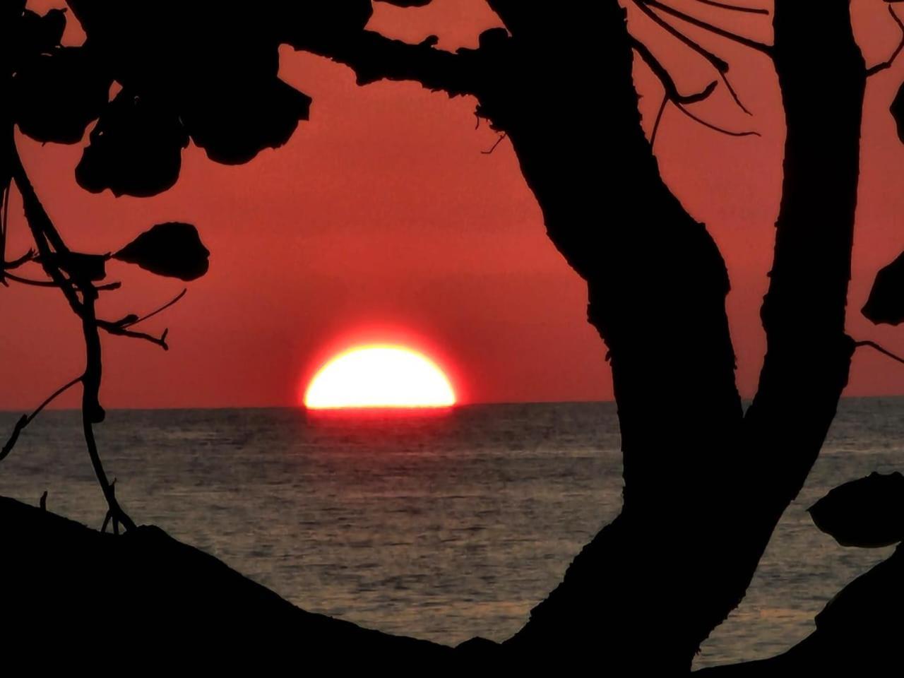Bella Vista Corcovado Hotel Drake Bay Luaran gambar