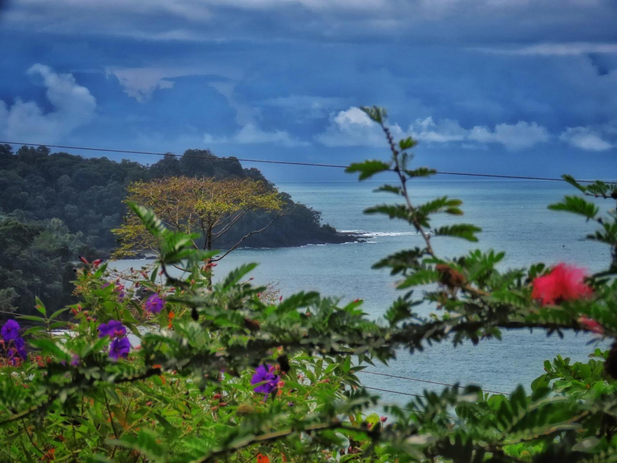 Bella Vista Corcovado Hotel Drake Bay Luaran gambar