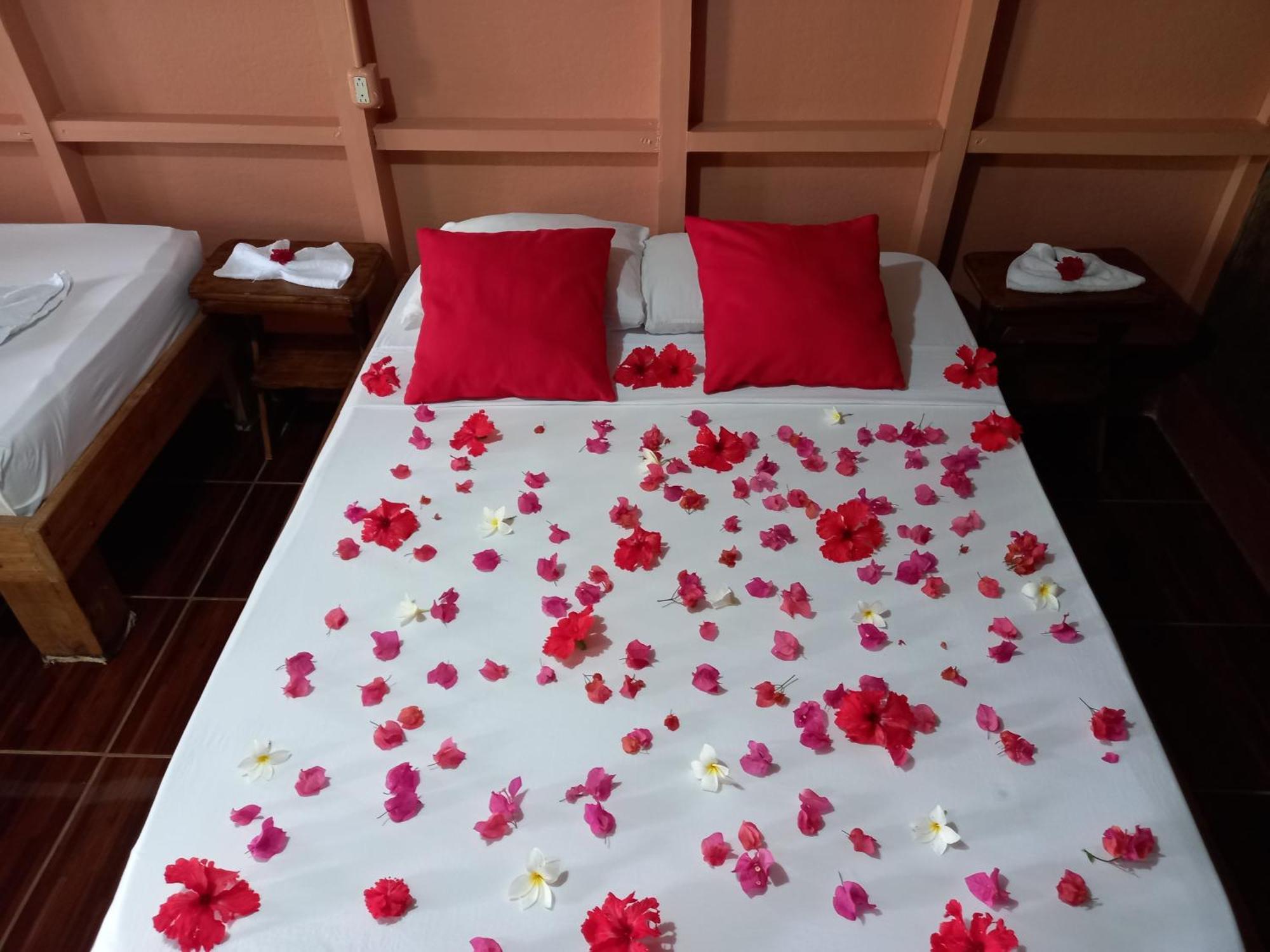Bella Vista Corcovado Hotel Drake Bay Luaran gambar